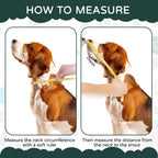 Soft foam padded edge of Reomore black dog recovery collar