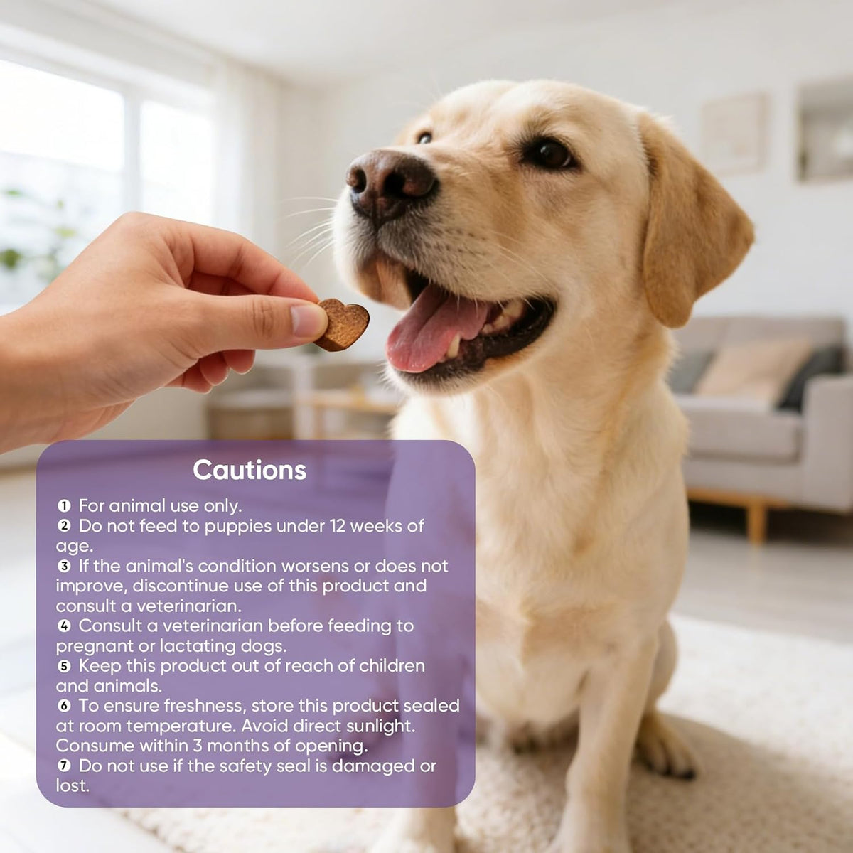 Calming Chews for Dogs 200pc Dog Calming Treat and Bites with Melatonin - Anxiety and Stress Relief Treats for Dogs Puppy Sleep Aid Calm Dog with Noise,Thunder, Barking, Separation,Chewing - Image 9