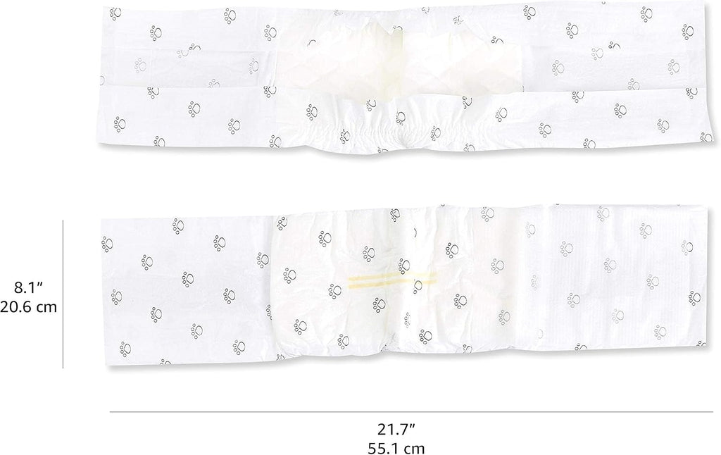 Absorbent core layer illustration of disposable male dog diaper nappy