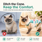 Cat wearing surgical onesie showing full coverage