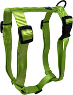 Hamilton small dog harness purple webbing close up