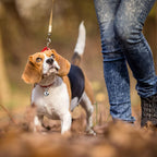 Waziaqoc lightweight rust resistant pet pendant accessories close up