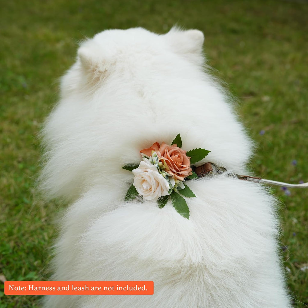 Pawlarispets puppy grooming flower charm orange and white side perspective