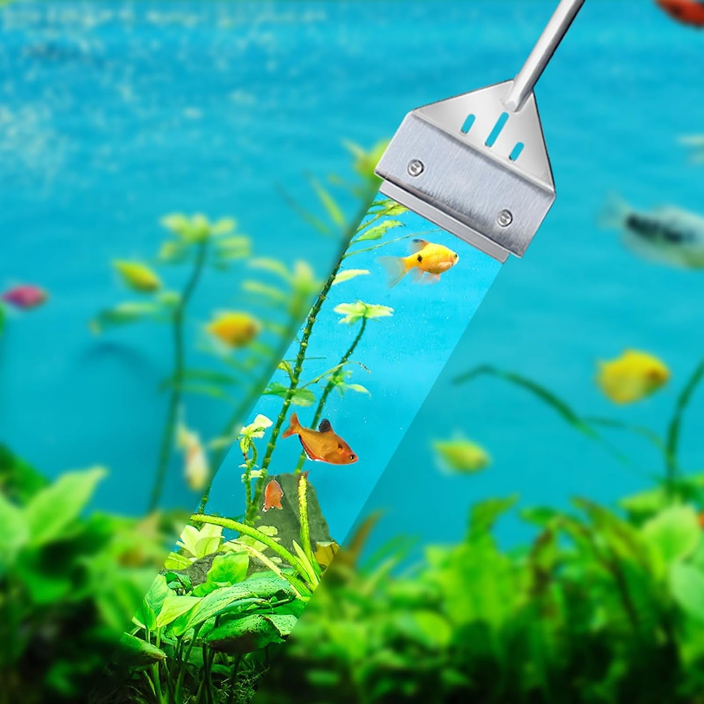Multi functional scraper being utilized as a substrate spatula for arranging aquarium sand.