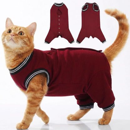 Premium imported cat surgical wear with convenient belly opening