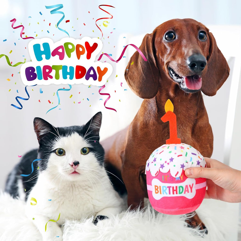 Dansydaisy imported canine birthday party decoration prop cake toy close up