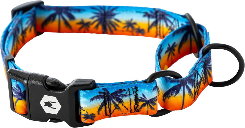 Wolfgang Man and Beast mountain landscape pattern martingale collar packaging overview