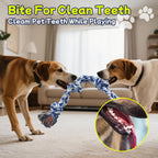 Medium breed dog happily chewing on a blue and white braided Rocfish rope toy.