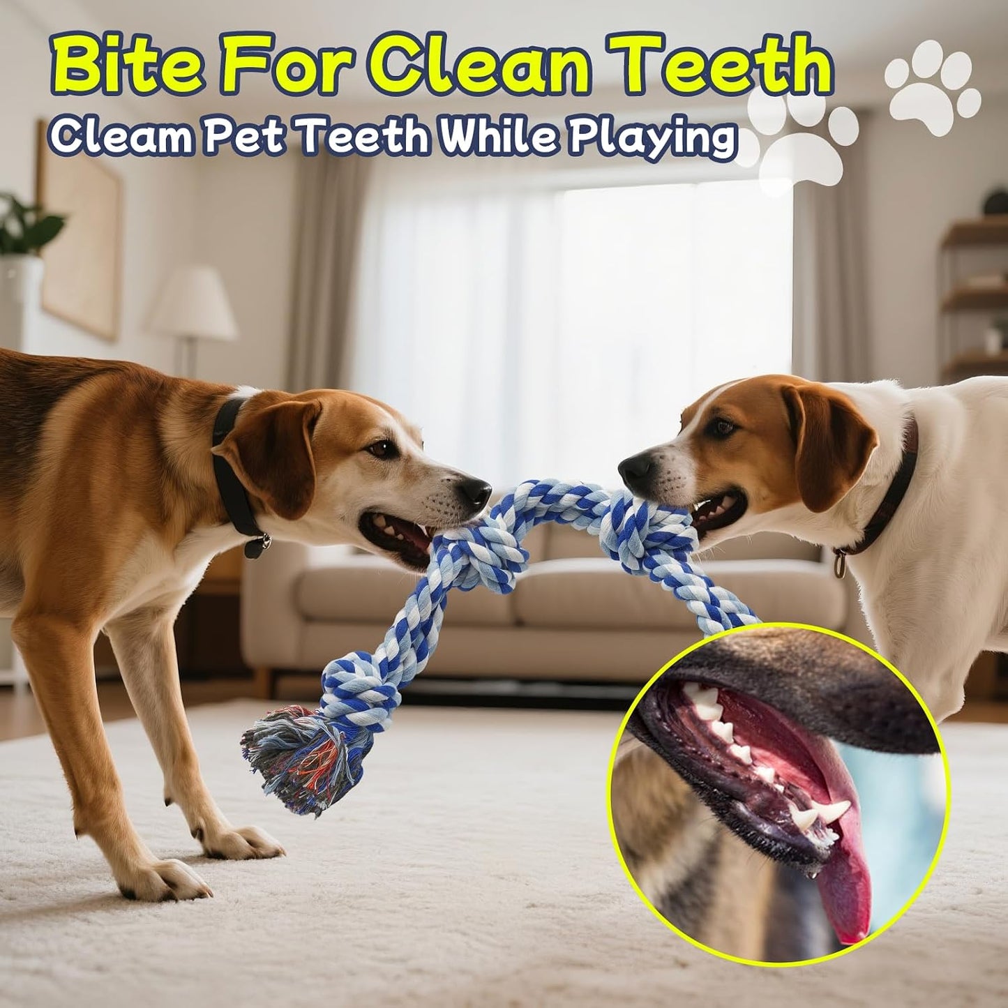Medium breed dog happily chewing on a blue and white braided Rocfish rope toy.