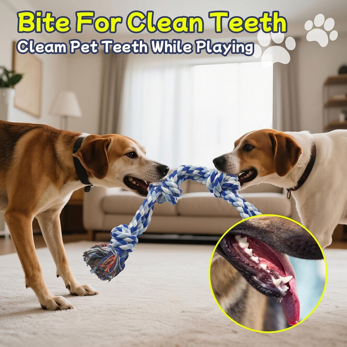 Medium breed dog happily chewing on a blue and white braided Rocfish rope toy.
