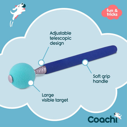 Close up of the thirty millimeter soft foam target ball on the Coachi stick