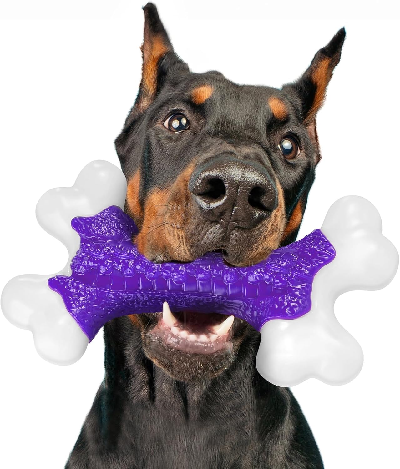 Kseroo Tough Dog Toys for Aggressive Chewers: Beef Flavored Hard Nylon Bones, Dog Chew Toys for Medium Large Breed Dogs (20-90 lbs), Red - Image 11