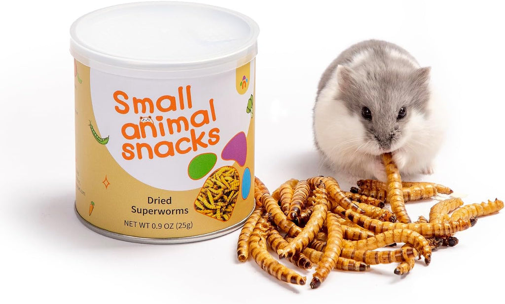 Healthy natural protein snacks for hedgehogs and sugar gliders