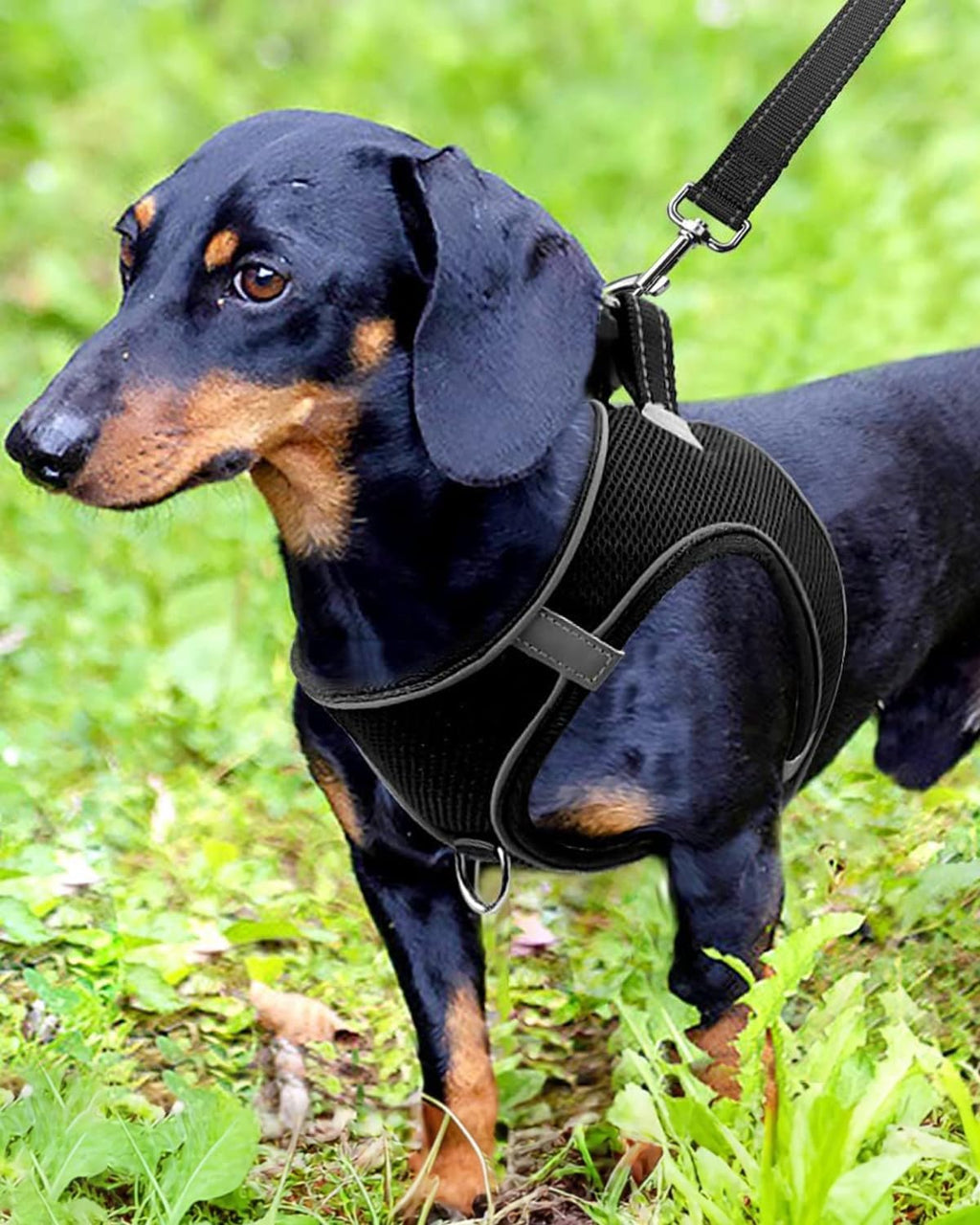 Joytale soft padded dog vest side profile showing reflective strips