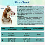Barkless anti pull head halter showing padded nose strap