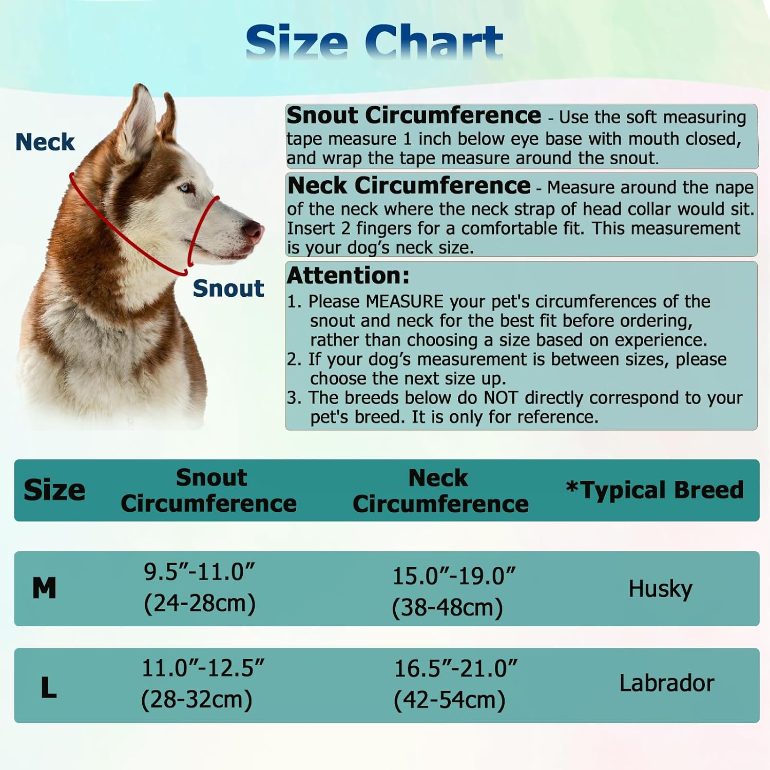 Barkless anti pull head halter showing padded nose strap