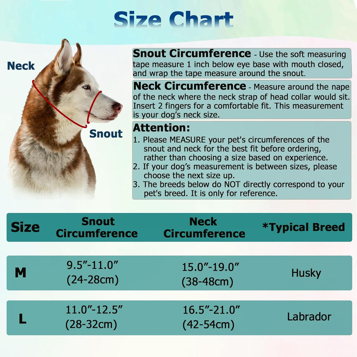 Barkless anti pull head halter showing padded nose strap