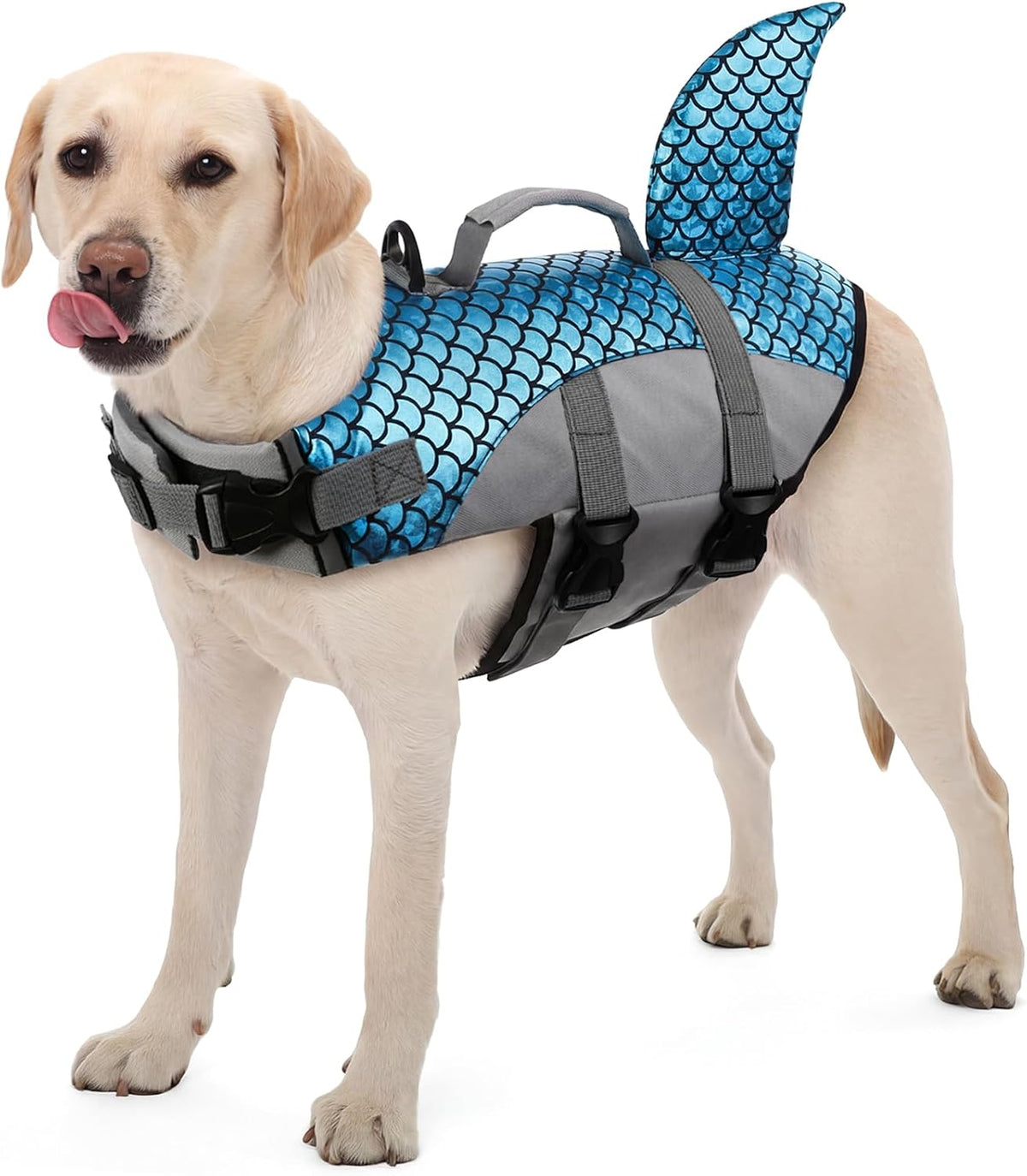 Kuoser Dog Life Jacket, Anti-Choke Head Support Float Dog Life Vest for Swimming Boating, Reflective Pet Swim Suit with Rescue Handle & D-Ring & Chin Float for Dulldog Dachshund, Purple XS - Image 11