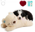 PetPrime Dog Plush Toy Heart Beat Puppy Plush Bear Toy with Warmer Bag Pet Soft Anxiety Puppy Relief Toy for Dogs Heart Beat Stuffed Animal Sleeping Buddy Anxiety Dog Toy - Image 11
