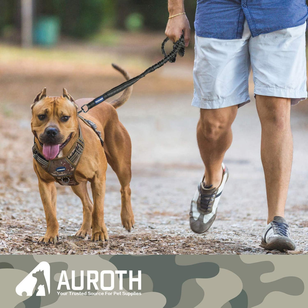 AUROTH durable dog lead focusing on the heavy duty three hundred sixty degree swivel clasp