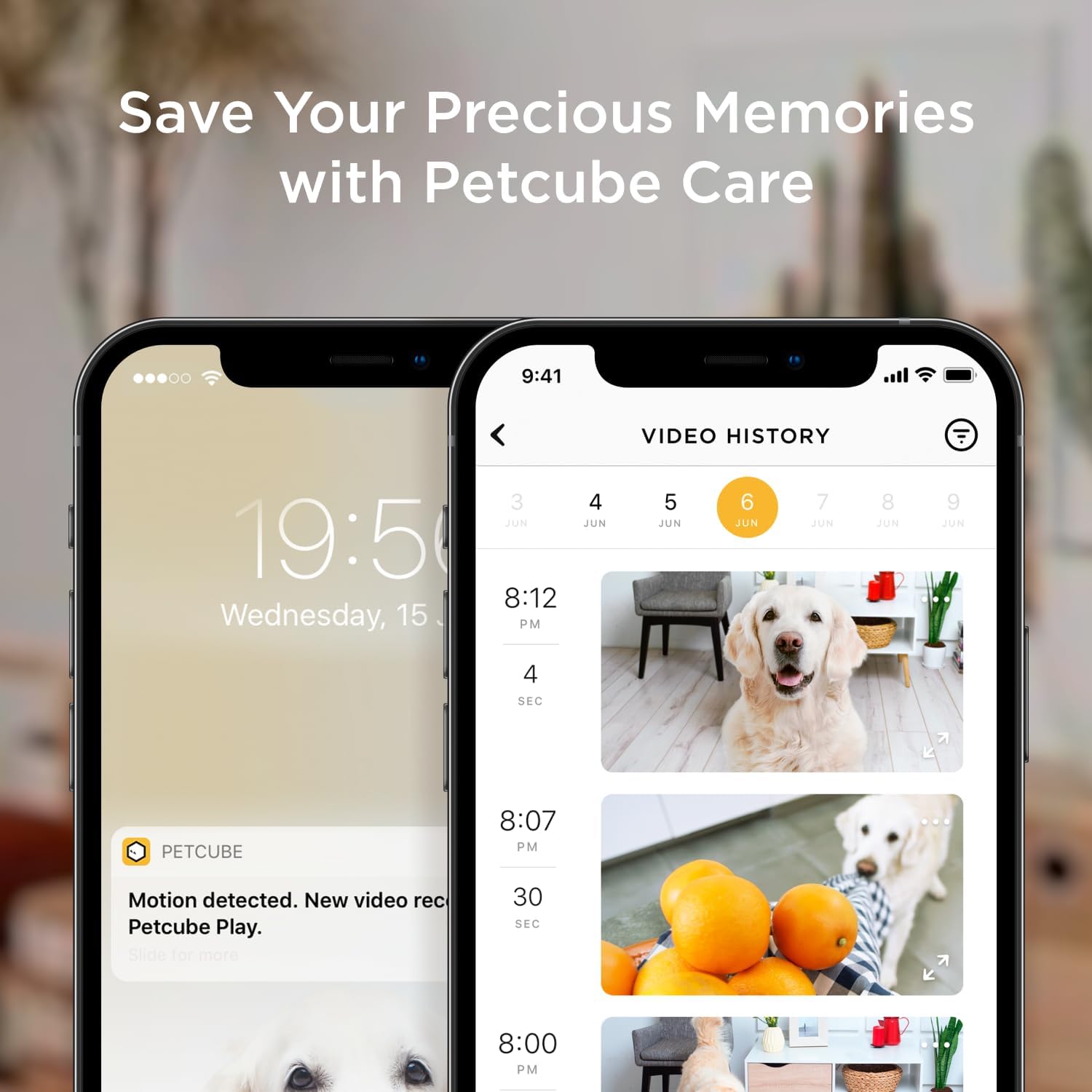 Petcube Bites 2 Lite compact all in one design alongside dry dog treats