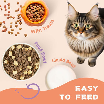 Vet-approved cat health supplement bottle for skin and joint support