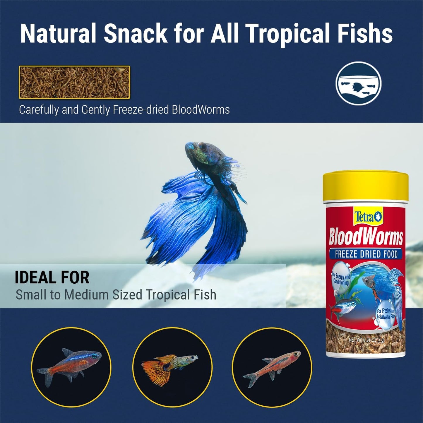 Authentic imported Tetra fish supplement snack for bettas and tropical fish