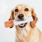 Detailed view of the individual squeaky plush cigarette sticks included in the Nestpark dog puzzle toy.