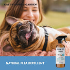 Plant based lemongrass insect repellent spray for pets and home surfaces