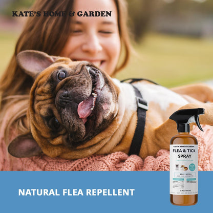 Plant based lemongrass insect repellent spray for pets and home surfaces