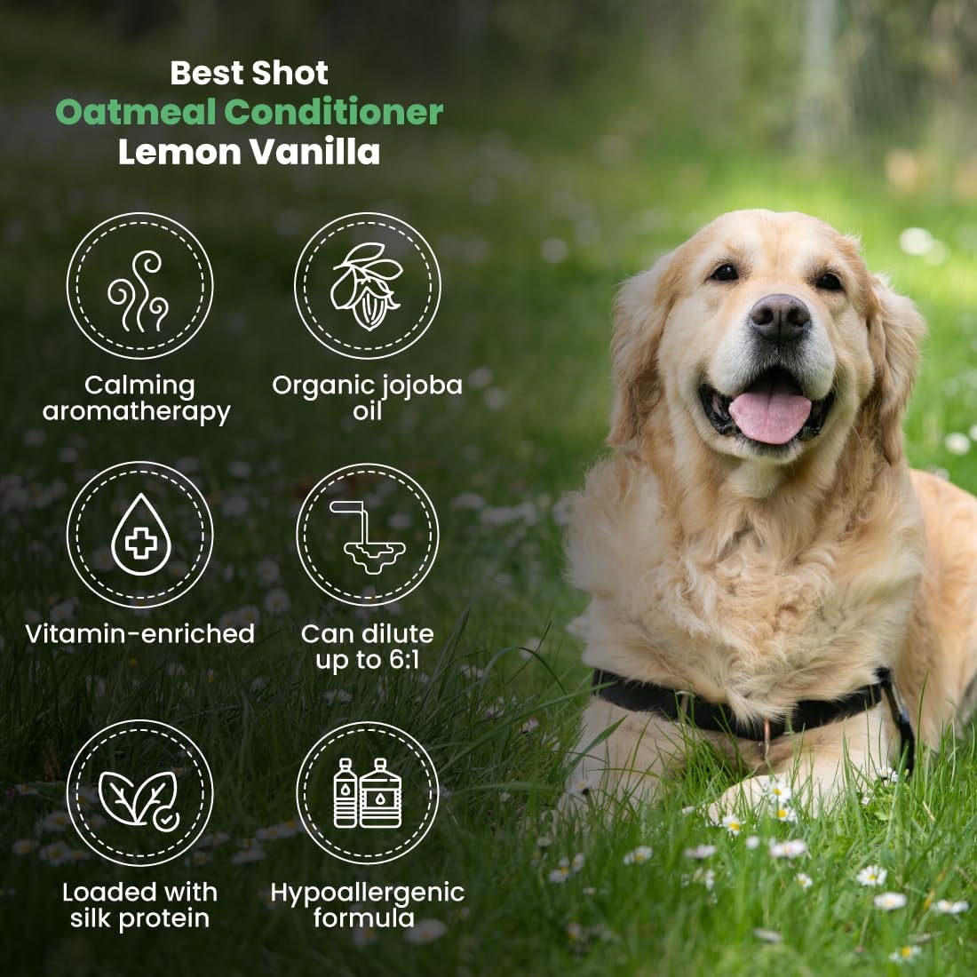 Pouring the concentrated lemon vanilla oatmeal rinse for pet bathing
