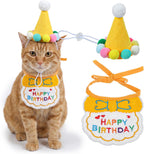 Pet wearing Tyqour birthday hat and bandana for photoshoots
