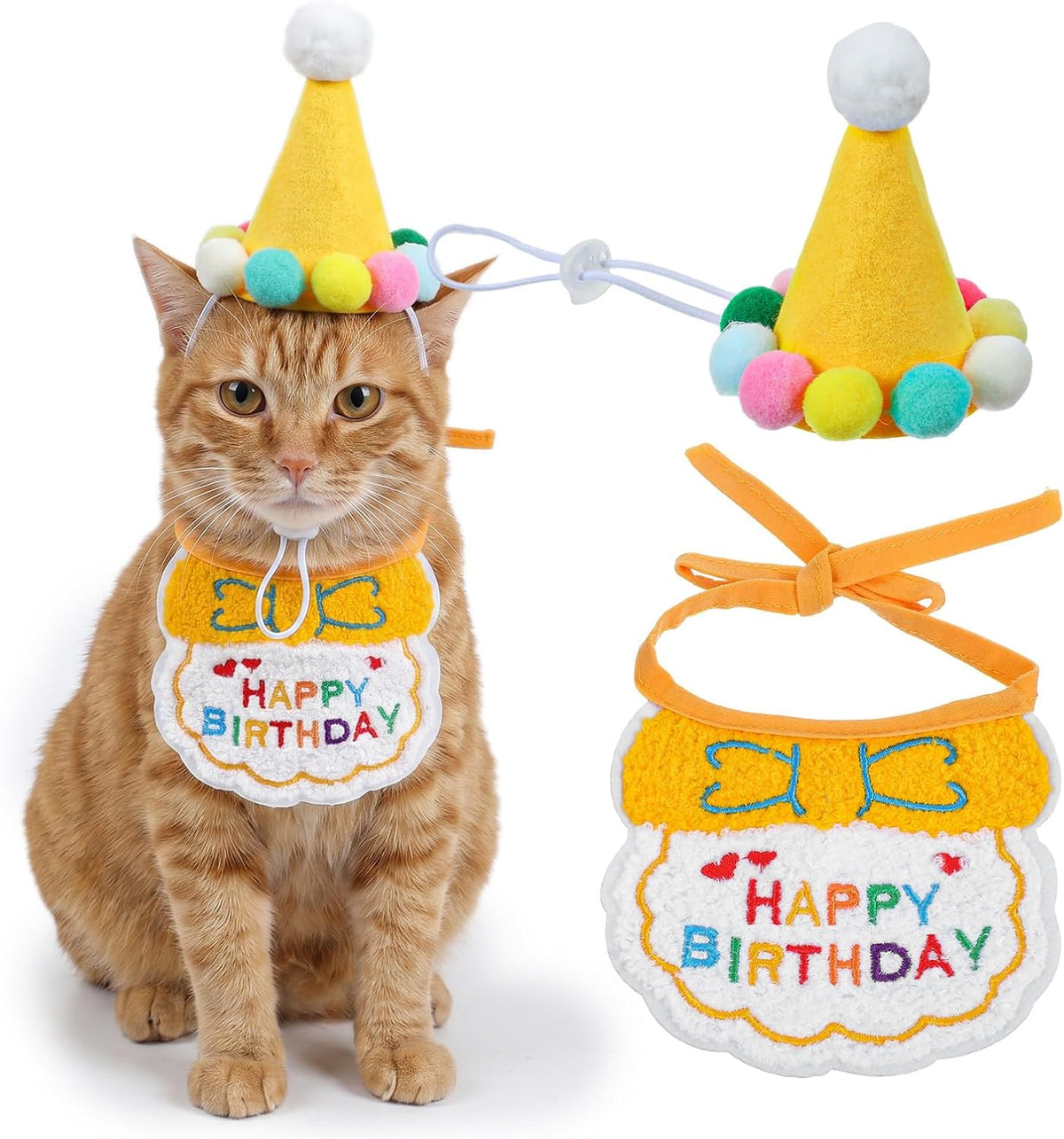 Pet wearing Tyqour birthday hat and bandana for photoshoots
