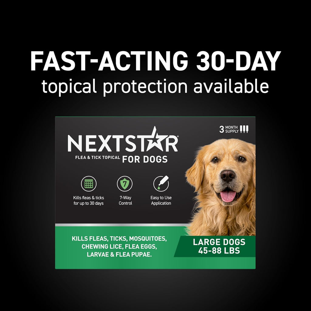 NEXTSTAR topical drops 3 monthly doses application instructions on dog skin