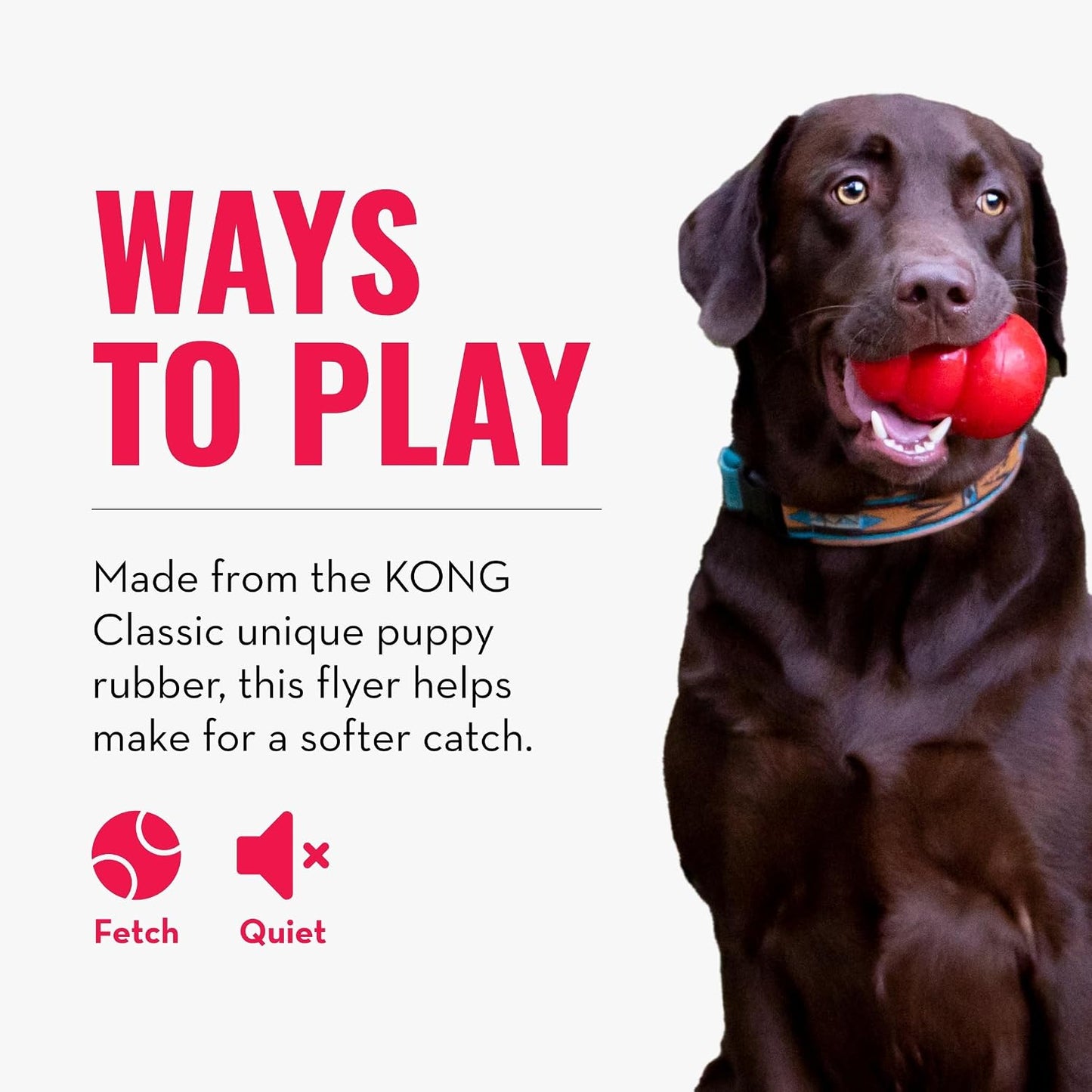 KONG Puppy Flyer toy being used for fetch game