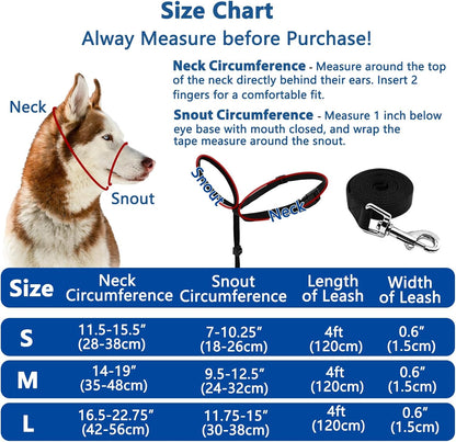 Barkless premium no choke anti pulling dog collar reflective stitching close up