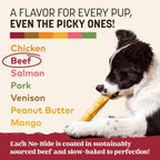 Earth Animal long lasting healthy dog treats medium size rolls display