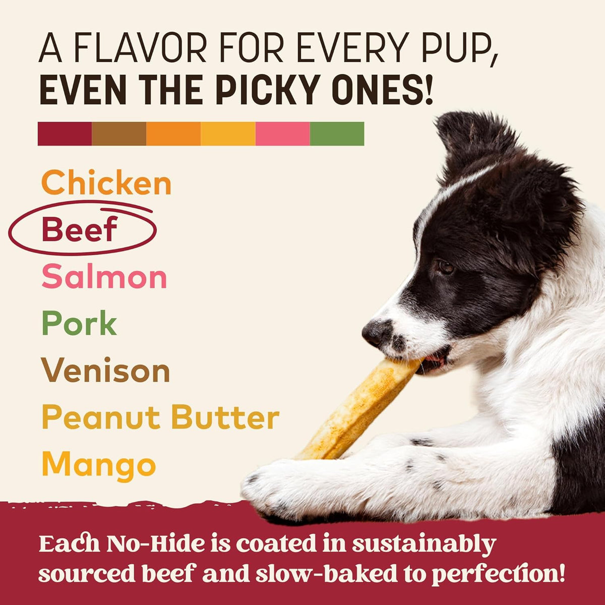 Earth Animal long lasting healthy dog treats medium size rolls display