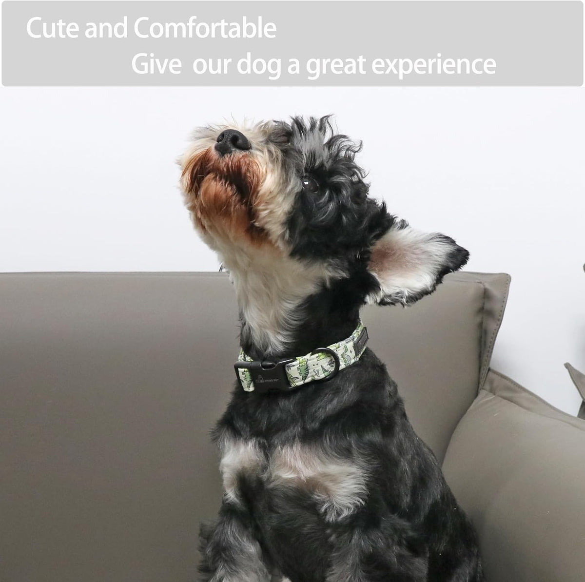 Comfortable lightweight cotton collar for dogs
