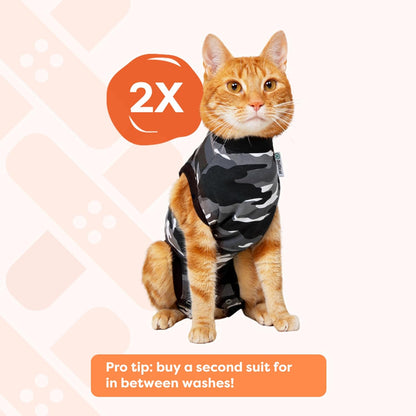 Vet-recommended Suitical medical cone alternative for kittens