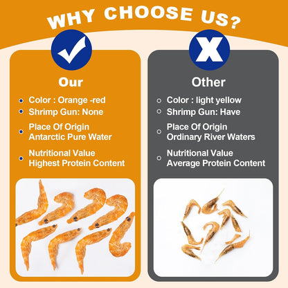 Nutrient rich freeze dried shrimp jar showing high protein content label for aquatic pets
