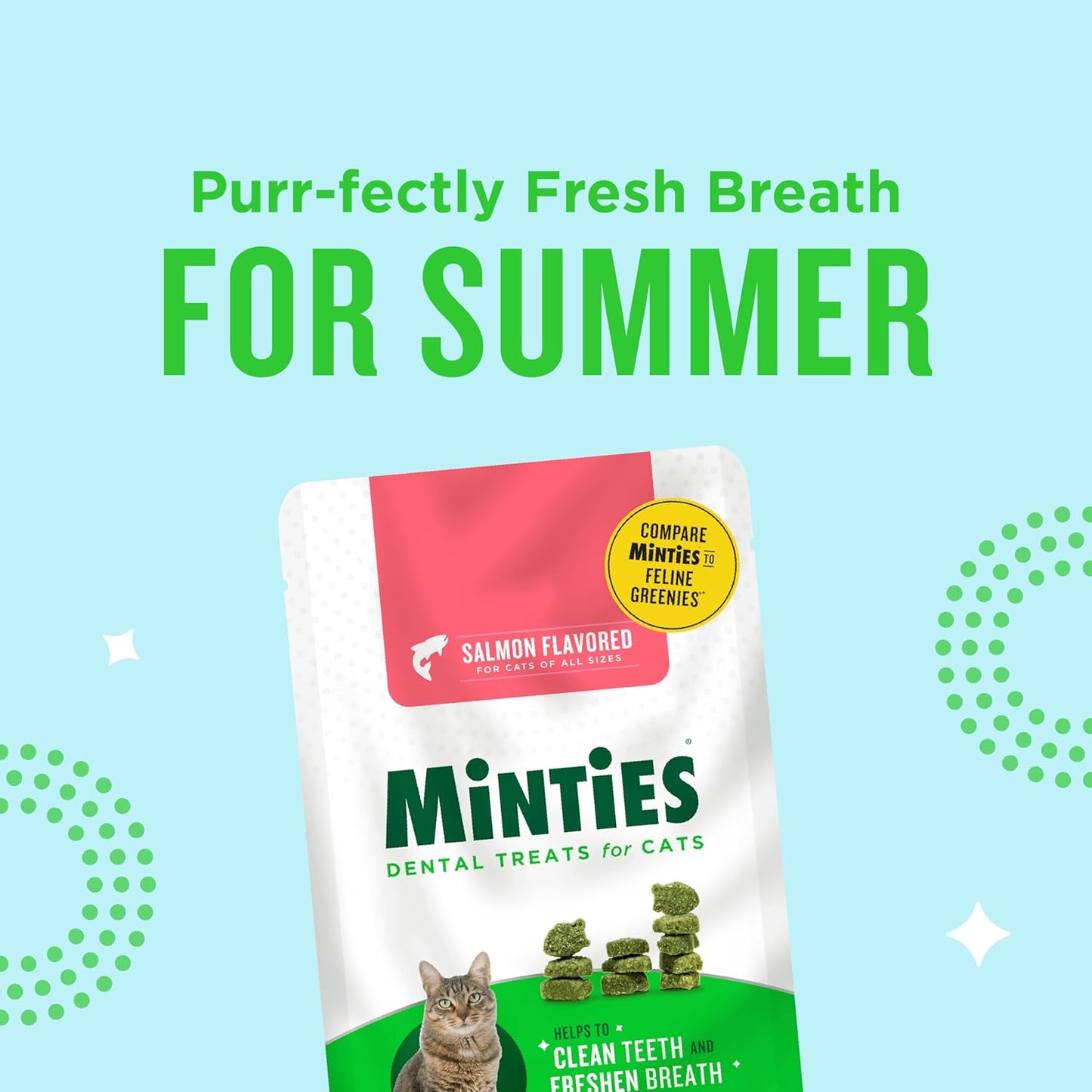 Minties USA imported cat dental care treats back of packaging ingredient list