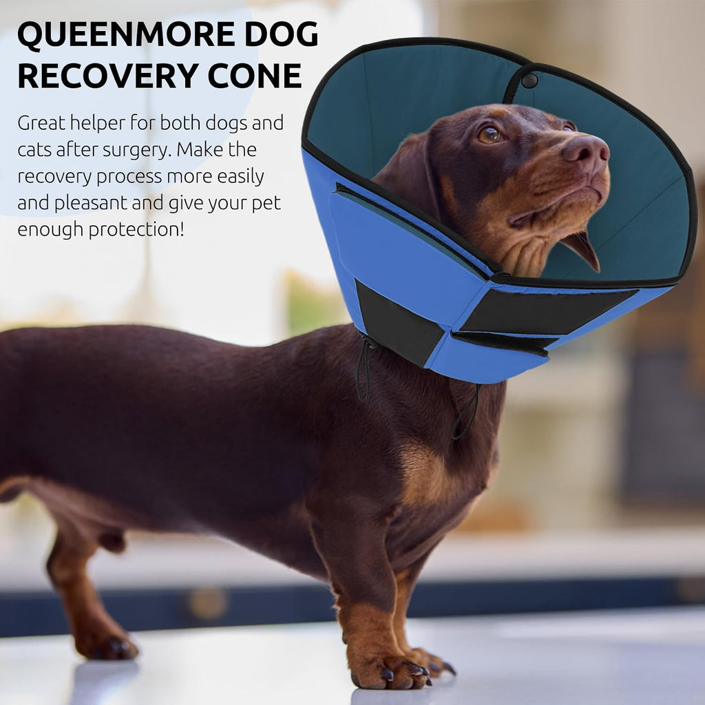 Side view of large breed dog wearing blue Queenmore post surgery collar