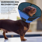 Side view of large breed dog wearing blue Queenmore post surgery collar