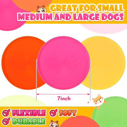 Small dog playing fetch with a Chivao silicone disc