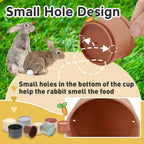 Domestic rabbit interacting with the Iffitya rainbow foraging cups during indoor playtime.