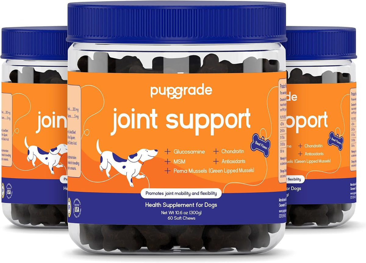 PupGrade Joint Support Supplement for Dogs - Glucosamine + Chondroitin with MSM and Perna - Supports Normal Hip & Joint Health for Occasional Discomfort, Beef Flavor - 60 Soft Chews - Image 11