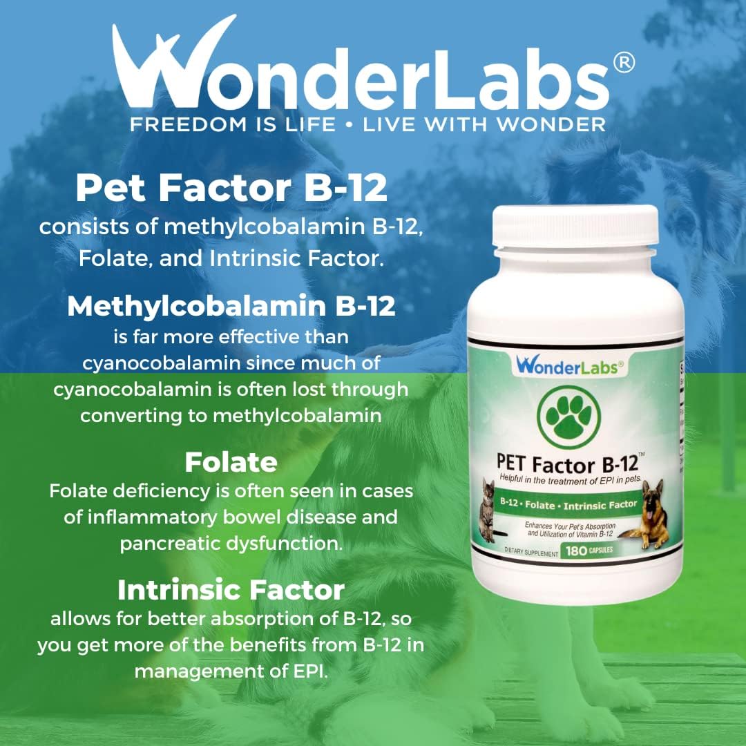 Group of 180 capsules Pet Factor B-12 product