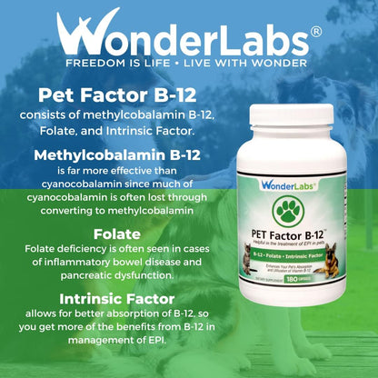 Group of 180 capsules Pet Factor B-12 product