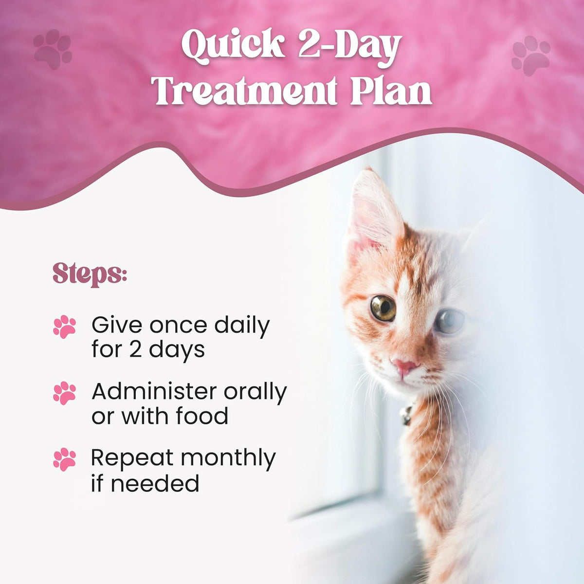 Close-up of the calibrated oral syringe for precise cat dewormer dosage measurement